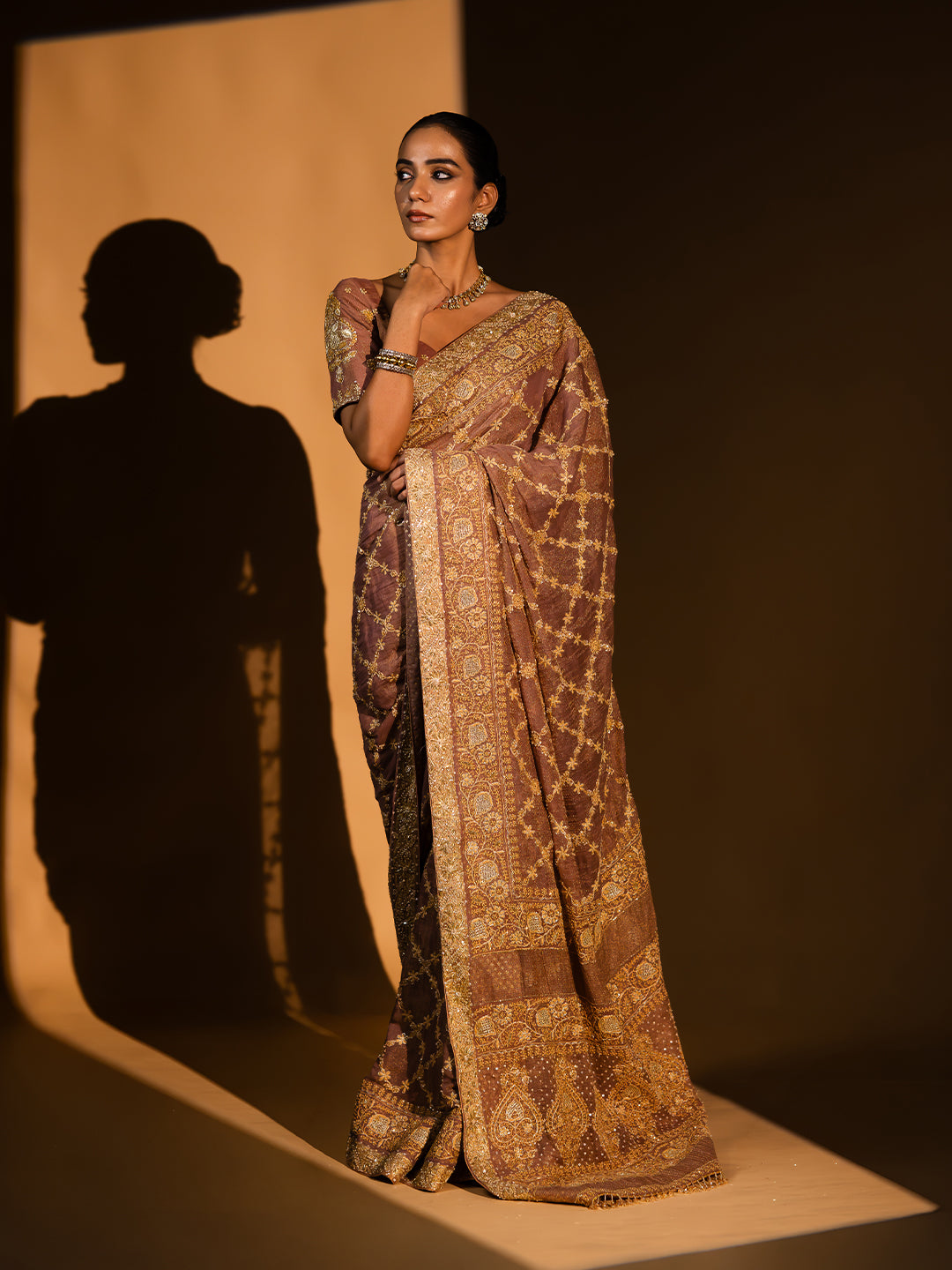 Garnet Pure & Premium Tissue Chikankari Saree