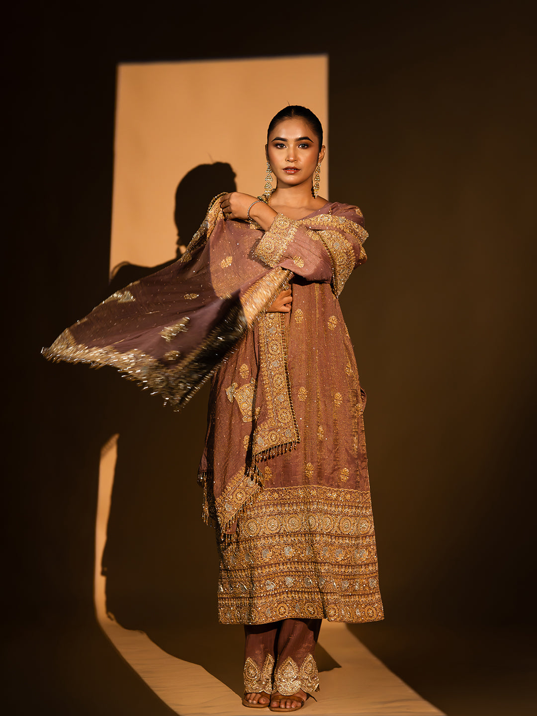 Garnet Pure & Premium Tissue Chikankari Kurta Set