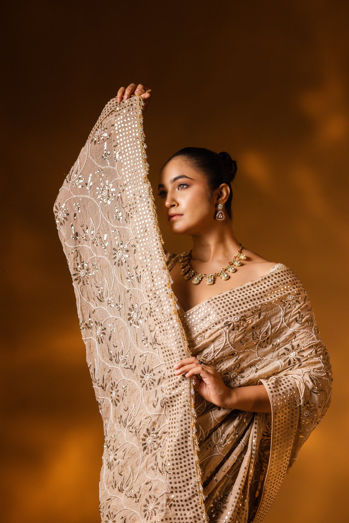 Champagne Beige Mukaish Saree